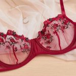Ruby Red Transparent Set - Image 4