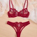 Ruby Red Transparent Set - Image 2